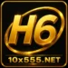 H6